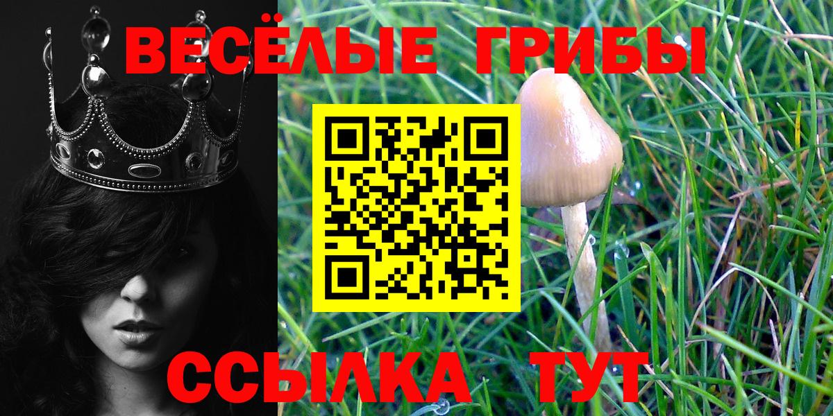 Галлюциногенные грибы Psilocybine cubensis Нягань