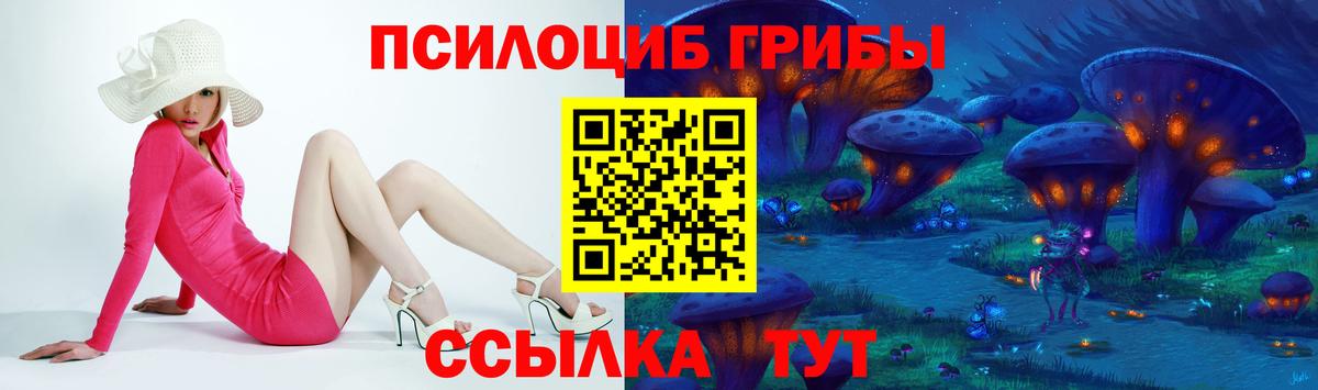 Галлюциногенные грибы Cubensis  Псилоцибиновые грибы мицелий  Нягань  Вход с VPN 
